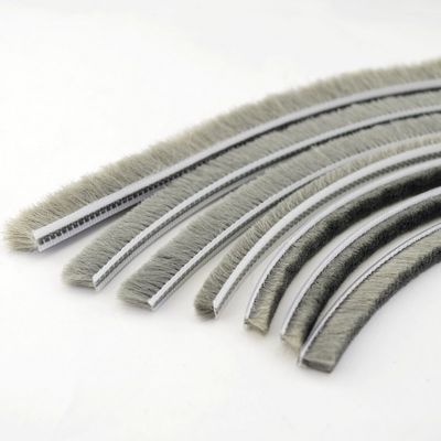 Phòng cửa sổ, cửa sổ, cửa sổ, cửa sổ, cửa sổ, cửa sổ, cửa sổ